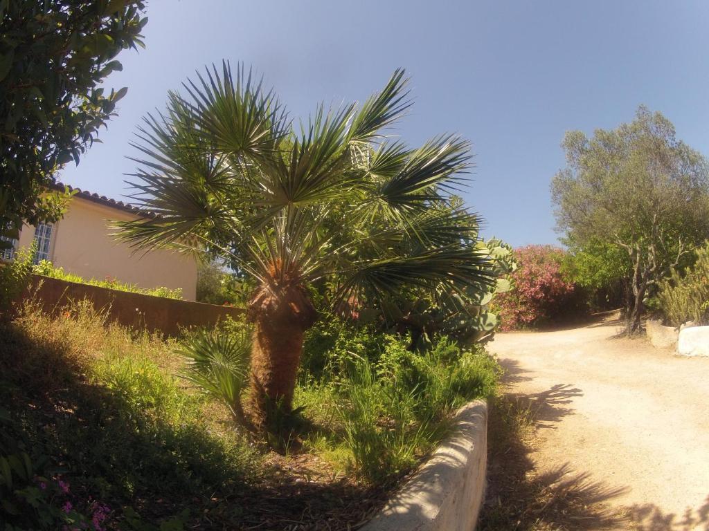 Residence La Beloutiere Porto-Vecchio (Corsica) Exterior foto